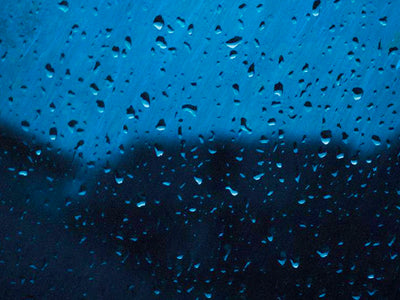 Stormy Skies & Wet Earth Pack - Bloom Sample Packs - Bloom Perfumery