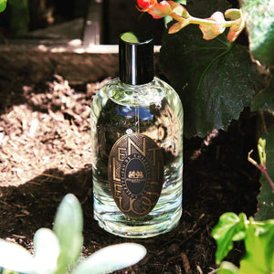 Lentisque (Discontinued) - Phaedon Paris - Bloom Perfumery