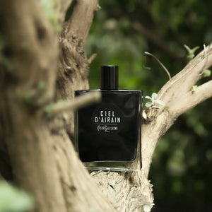 Ciel D’Airain (Discontinued) - Pierre Guillaume Black Collection - Bloom Perfumery