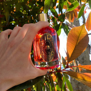 Pure Azure (Discontinued) - Phaedon Paris - Bloom Perfumery