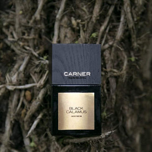Black Calamus (Discontinued) - CARNER - Bloom Perfumery