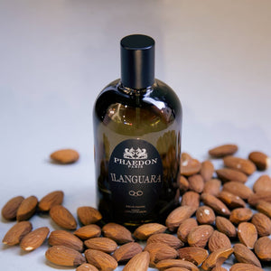 Ilanguara (Discontinued) - Phaedon Paris - Bloom Perfumery