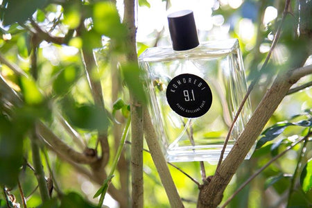 PG9.1 Komorebi (Discontinued) - Pierre Guillaume - Parfumerie Générale - Bloom Perfumery