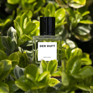 Privilege - Der Duft - Bloom Perfumery