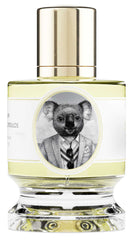 Koala - Zoologist - Bloom Perfumery