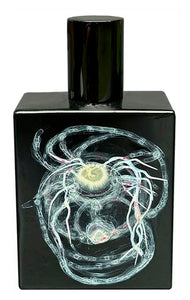 High to Lotus - Space Fluid - Bloom Perfumery