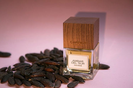 Ambar del Sur - CARNER - Bloom Perfumery