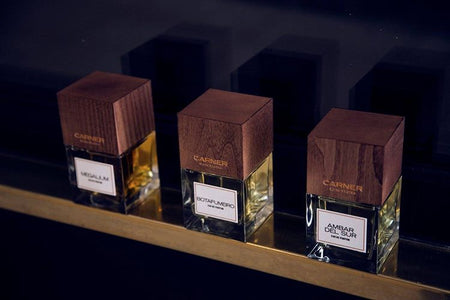 Megalium - CARNER - Bloom Perfumery