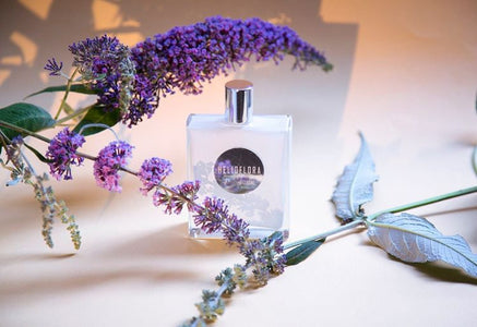 Helioflora - Pierre Guillaume White Collection - Bloom Perfumery