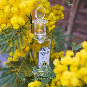 Scents of Nature | Tulip and Mimosa (Discontinued) - Brocard - Bloom Perfumery