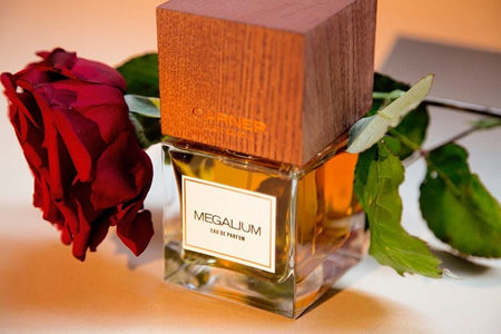 Megalium - CARNER - Bloom Perfumery