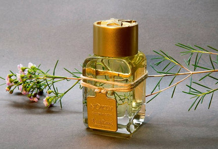 North - Mendittorosa - Bloom Perfumery