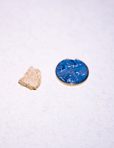 White Ambergris 0.23g SOLD - Natural Ambergris عَنْبَر - Bloom Perfumery